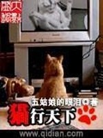 Bìa truyện Miêu Hành Thiên Hạ (猫行天下)
