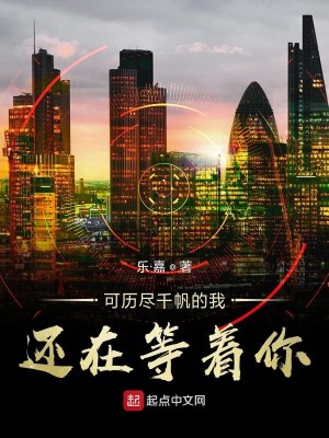 Bìa truyện Khả Lịch Tận Thiên Phàm Đích Ngã Hoàn Tại Đẳng Trứ Nhĩ (可历尽千帆的我还在等着你)