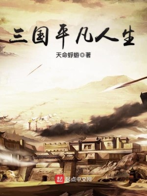 Bìa truyện Tam Quốc Bình Phàm Nhân Sinh (三国平凡人生)
