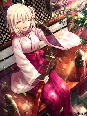 Bìa truyện Fate Kỵ Sĩ Đích Thệ Ước (FATE骑士的誓约)