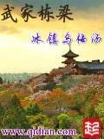 Bìa truyện Vũ Gia Đống Lương (武家栋梁)