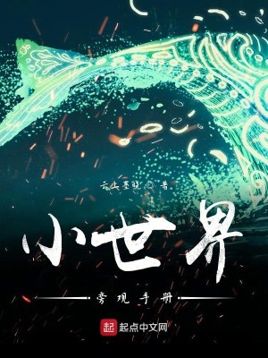 Bìa truyện Tiểu Thế Giới Bàng Quan Thủ Sách (小世界旁观手册)