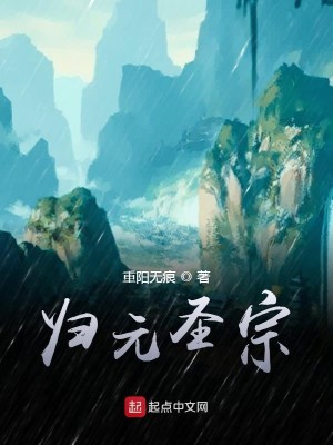 Bìa truyện Quy Nguyên Thánh Tông (归元圣宗)