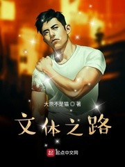 Bìa truyện Văn Thể Chi Lộ (文体之路)