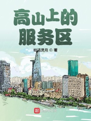 Bìa truyện Cao Sơn Thượng Đích Phục Vụ Âu (高山上的服务区)