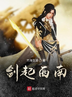 Bìa truyện Kiếm Khởi Tây Nam (剑起西南)