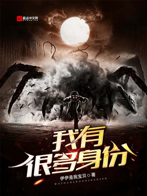 Bìa truyện Ngã Hữu Ngận Đa Thân Phân (我有很多身份)