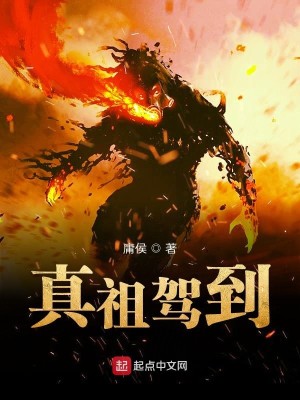 Bìa truyện Chân Tổ Giá Đáo (真祖驾到)