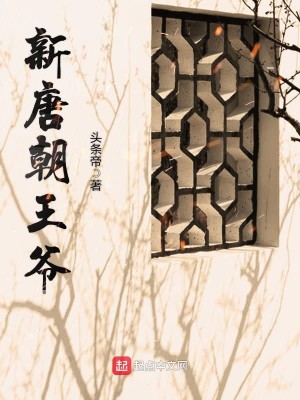 Bìa truyện Tân Đường Triêu Vương Gia (新唐朝王爷)