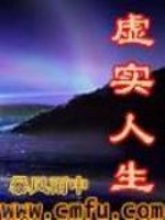 Bìa truyện Hư Thực Nhân Sinh (虚实人生)