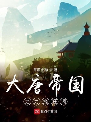 Bìa truyện Đại Đường Đế Quốc Chi Lực Vãn Cuồng Lan (大唐帝国之力挽狂澜)