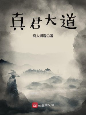 Bìa truyện Chân Quân Đại Đạo (真君大道)