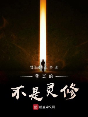 Bìa truyện Ngã Chân Đích Bất Thị Linh Tu (我真的不是灵修)