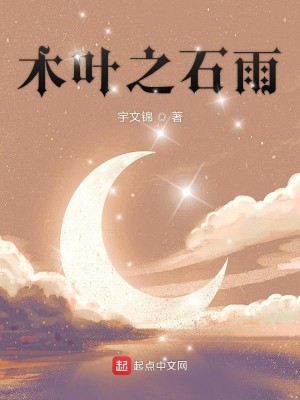 Bìa truyện Mộc Hiệp Chi Thạch Vũ (木叶之石雨)