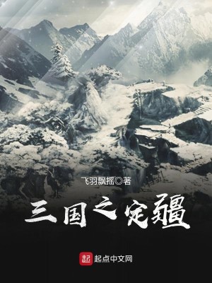Bìa truyện Tam Quốc Chi Định Cương (三国之定疆)