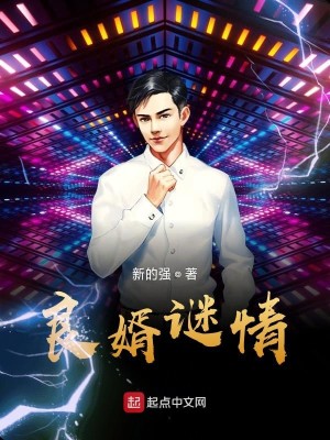 Bìa truyện Lương Tế Mê Tình (良婿谜情)