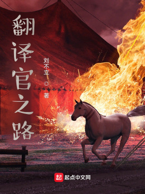 Bìa truyện Phiên Dịch Quan Chi Lộ (翻译官之路)