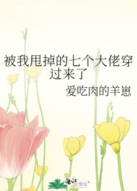 Bìa truyện Bị Ngã Suý Điệu Đích Thất Cá Đại Lão Xuyên Quá Lai Liễu (被我甩掉的七个大佬穿过来了)