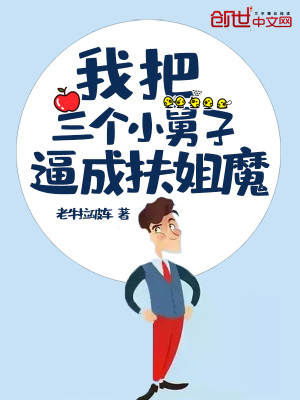 Bìa truyện Ngã Bả Tam Cá Tiểu Cữu Tử Bức Thành Phù Tỷ Ma (我把三个小舅子逼成扶姐魔)