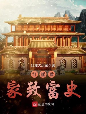 Bìa truyện Hồng Lâu Phát Gia Trí Phú Sử (红楼发家致富史)