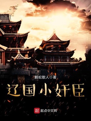 Bìa truyện Liêu Quốc Tiểu Gian Thần (辽国小奸臣)