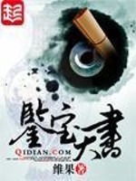 Bìa truyện Giám Bảo Thiên Thư (鉴宝天书)