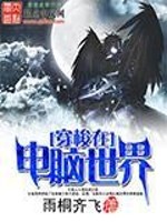 Bìa truyện Xuyên Toa Tại Điện Não Thế Giới (穿梭在电脑世界)