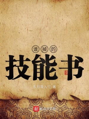 Bìa truyện Thùy Điệu Đích Kĩ Năng Thư (谁掉的技能书)