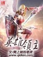 Bìa truyện Anh Hùng Lĩnh Chủ (英雄领主)