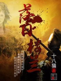 Bìa truyện Lạc Nhật Lâu Lan Tinh Vũ Ân Cừu Kí (落日楼兰精武恩仇记)