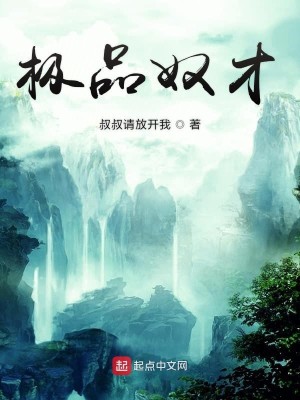 Bìa truyện Cực Phẩm Nô Tài (极品奴才)