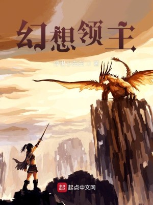 Bìa truyện Huyễn Tưởng Lĩnh Chủ (幻想领主)