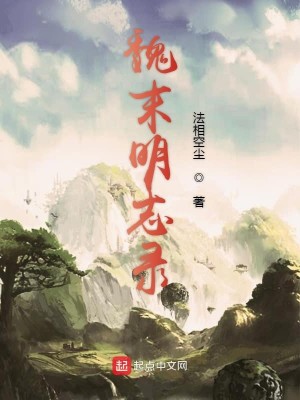 Bìa truyện Ngụy Mạt Minh Chí Lục (魏末明志录)