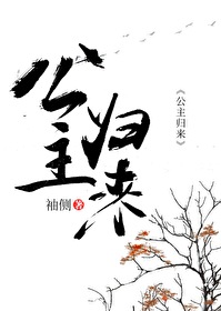 Bìa truyện Công Chủ Quy Lai (公主归来)