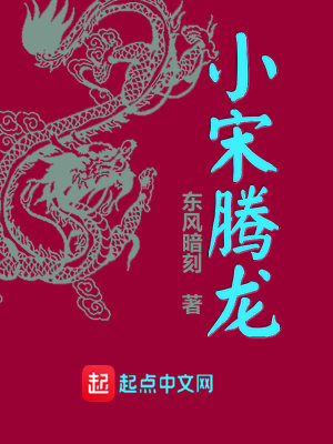 Bìa truyện Tiểu Tống Đằng Long (小宋腾龙)