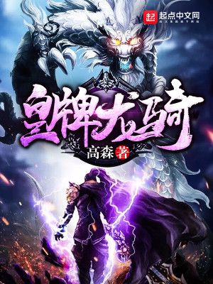 Bìa truyện Hoàng Bài Long Kỵ (皇牌龙骑)