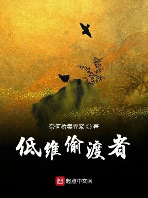 Bìa truyện Đê Duy Thâu Độ Giả (低维偷渡者)