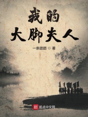 Bìa truyện Ngã Đích Đại Cước Phu Nhân (我的大脚夫人)