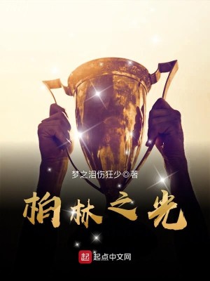 Bìa truyện Bách Lâm Chi Quang (柏林之光)