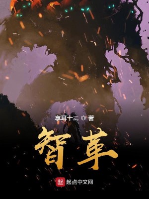 Bìa truyện Trí Cách (智革)