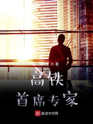 Bìa truyện Cao Thiết Thủ Tịch Chuyên Gia (高铁首席专家)