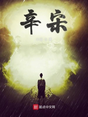 Bìa truyện Tân Tống (辛宋)