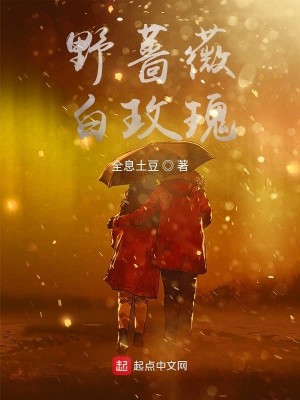 Bìa truyện Dã Sắc Vi Bạch Mai Khôi (野蔷薇白玫瑰)