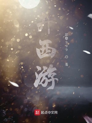 Bìa truyện Tỉnh Tây Du (井西游)