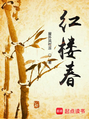 Bìa truyện Hồng Lâu Xuân (红楼春)