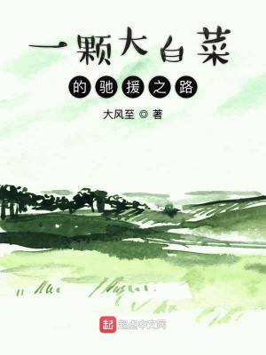 Bìa truyện Nhất Khỏa Đại Bạch Thái Đích Trì Viên Chi Lộ (一颗大白菜的驰援之路)