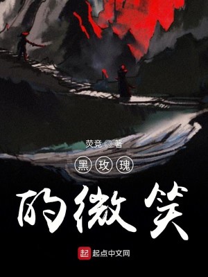 Bìa truyện Hắc Mai Khôi Đích Vi Tiếu (黑玫瑰的微笑)