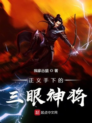 Bìa truyện Chính Nghĩa Thủ Hạ Đích Tam Nhãn Thần Tương (正义手下的三眼神将)