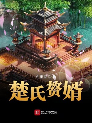 Bìa truyện Sở Thị Chuế Tế (楚氏赘婿)