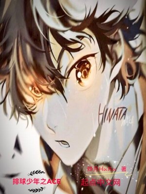 Bìa truyện Bài Cầu Thiếu Niên Chi Ace (排球少年之ACE)